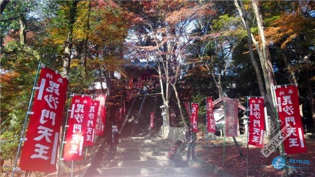 日本哪里有看紅葉的地方 2018日本紅葉季