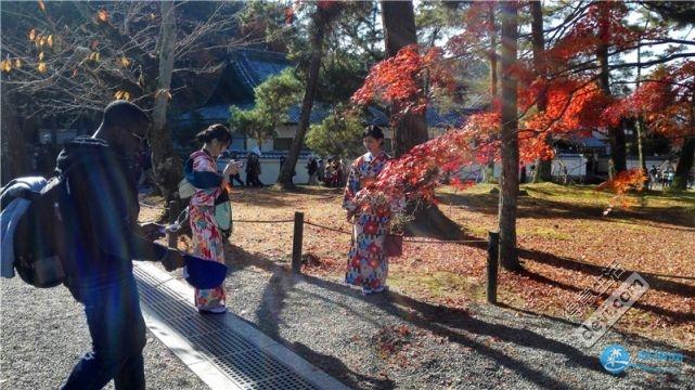 日本哪里有看红叶的地方 2018日本红叶季