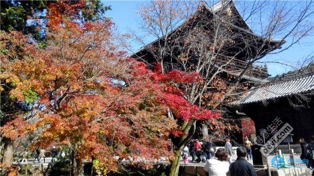 日本哪里有看紅葉的地方 2018日本紅葉季