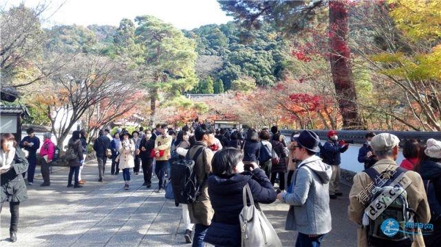 日本哪里有看紅葉的地方 2018日本紅葉季