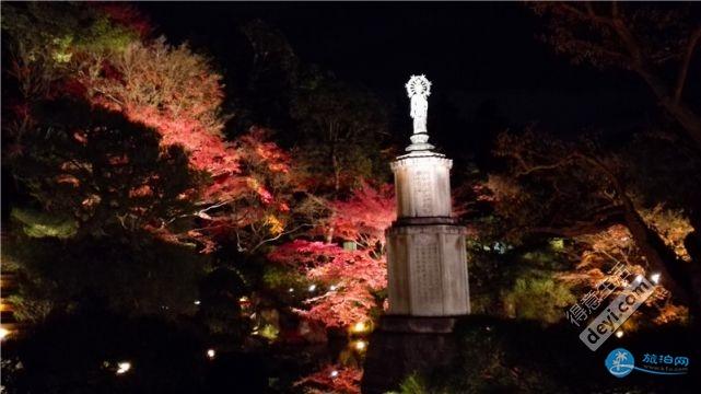 日本哪里有看红叶的地方 2018日本红叶季