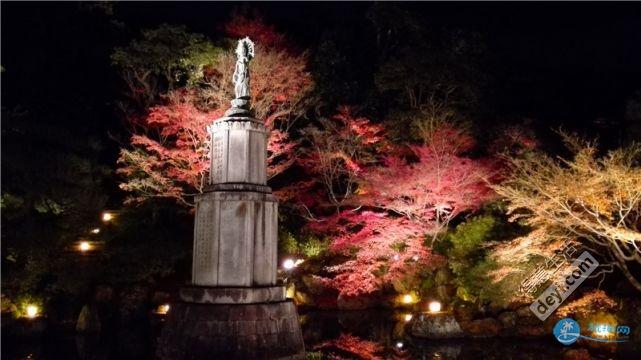 日本哪里有看紅葉的地方 2018日本紅葉季