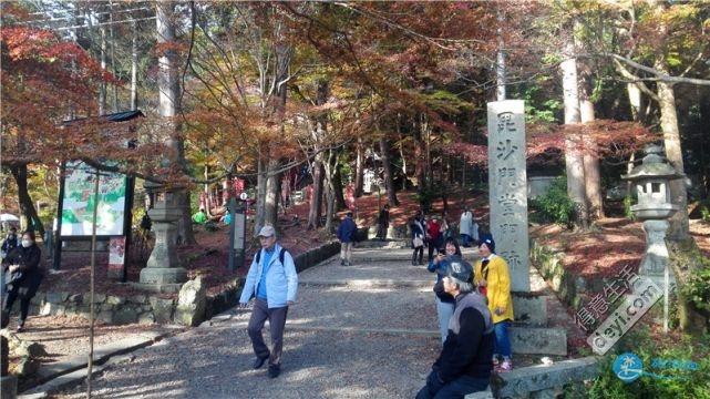 日本哪里有看紅葉的地方 2018日本紅葉季