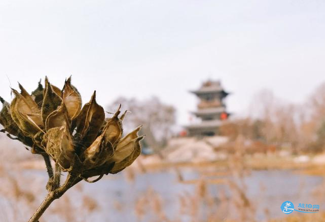 乔家大院在哪 乔家大院图片