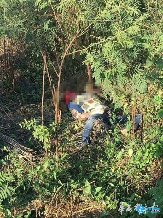 中国游客泰国抓大象尾巴 重庆领队被大象踩踏重伤 中国游客泰国抓大象尾巴 重庆领队被大象踩踏重伤
