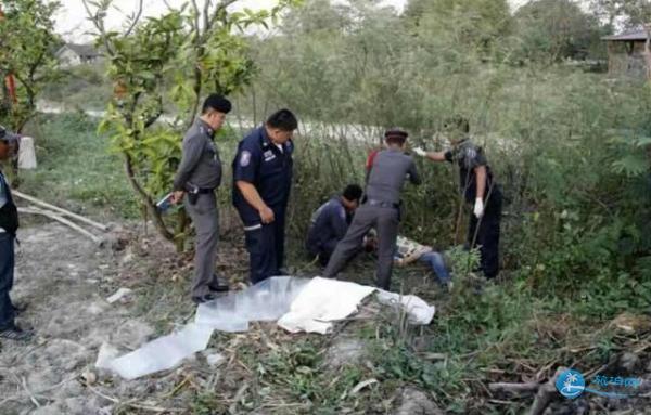 中国游客泰国抓大象尾巴 重庆领队被大象踩踏重伤 中国游客泰国抓大象尾巴 重庆领队被大象踩踏重伤