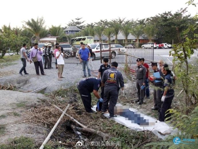 中国游客泰国抓大象尾巴 重庆领队被大象踩踏重伤 中国游客泰国抓大象尾巴 重庆领队被大象踩踏重伤