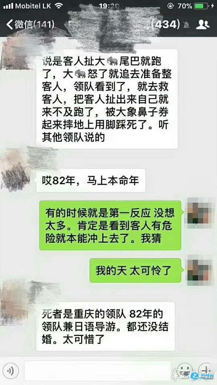 中国游客泰国抓大象尾巴 重庆领队被大象踩踏重伤 中国游客泰国抓大象尾巴 重庆领队被大象踩踏重伤