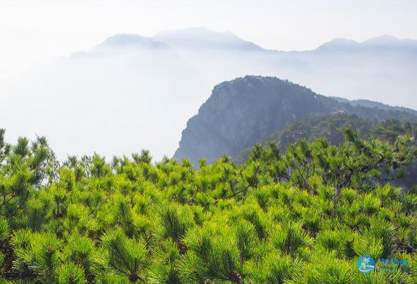 庐山好玩的景点推荐 庐山游玩攻略