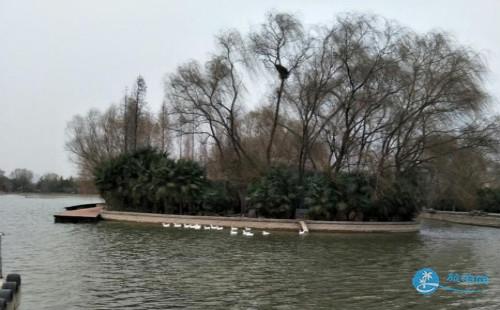 隋唐遗址植物园怎么样 隋唐遗址植物园游记