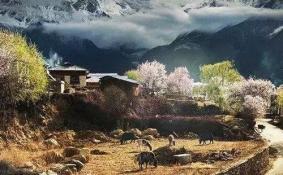 雨崩村什么时候去最好 雨崩村最佳旅游时间