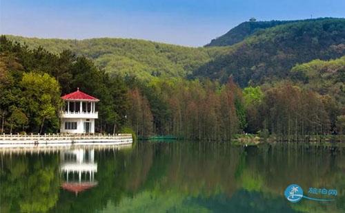 殘疾人旅游免門票嗎 武漢殘疾人有免費的旅游年卡嗎