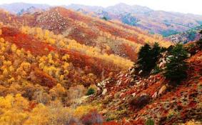 阴山在哪个省哪个市 阴山旅游游记