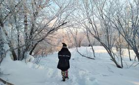 雪鄉值得一去嗎 雪鄉美景照片/圖片