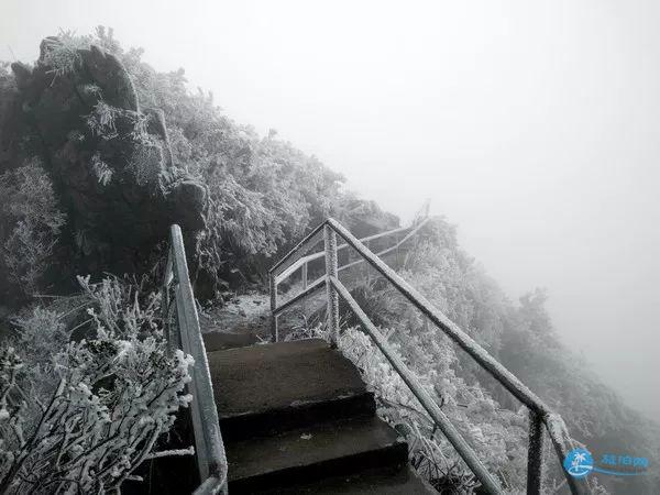 广东哪里有雾凇看 广东雾凇冰挂观赏一览