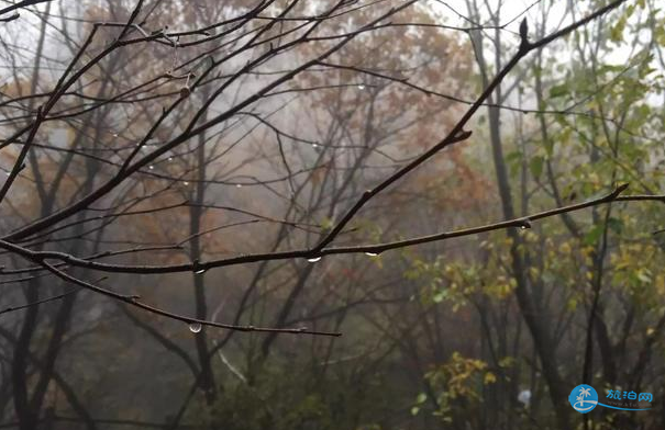 茅荊壩有什么好玩的 茅荊壩國家森林公園旅游游記