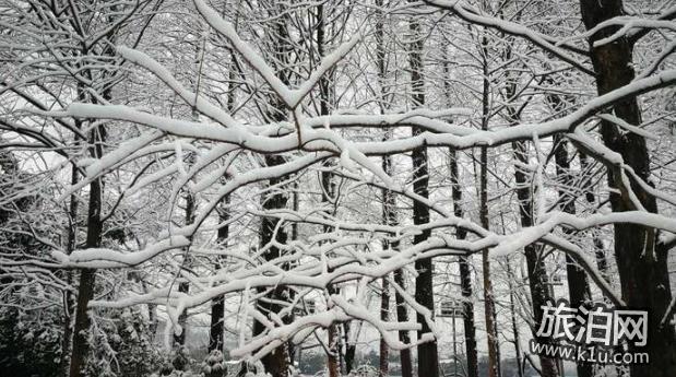 2018年西湖雪景 断桥残雪重现