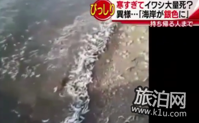 日本海岸诡异现象是怎么回事 这一现象预示着什么