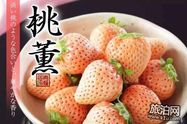 上海奉贤草莓采摘哪家最好 电话联系方式和地址信息