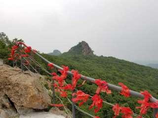 2018陜西旅游年票包含黑龍江內蒙古吉林哪些景點