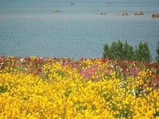 2018陜西旅游年票包含山東省哪些景點 景區名單+聯系方式