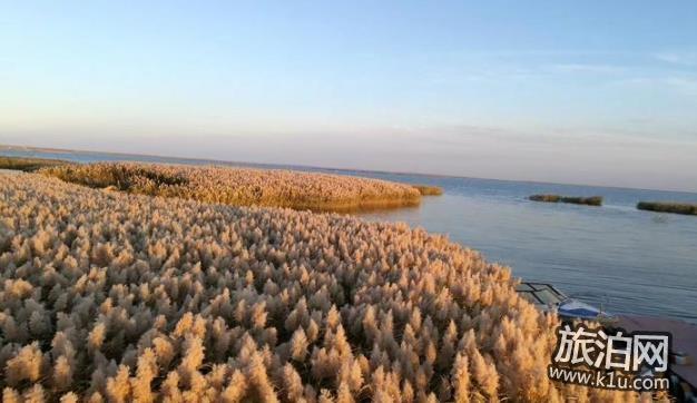 居延海在哪里 居延海干涸的原因是什么 居延海地图