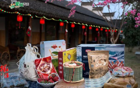 2018年春节上海金山区有什么好玩的地方和活动