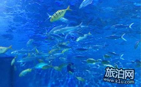 2018南京海底世界（门票+优惠政策+官网）