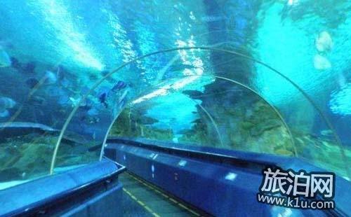 2018富国海底世界游玩攻略 北京富国海底世界好吗