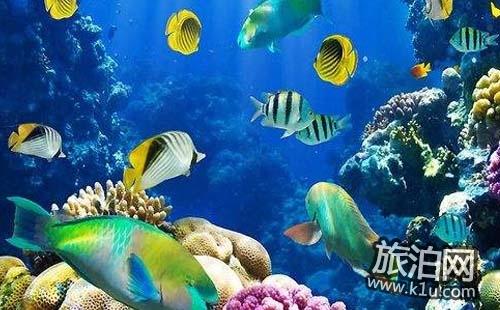 2018富国海底世界游玩攻略 北京富国海底世界好吗