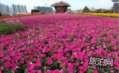 2018深圳園博園第十二屆茶花展門票多少錢 2018深圳園博園第十二屆茶花展怎么去