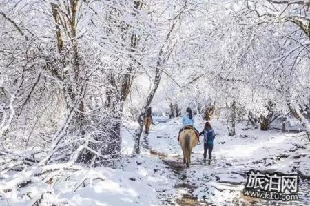 四姑娘山冬天好玩吗 四姑娘山冬季旅游攻略