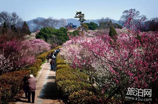 2018年武汉春季有哪些可以赏花的地方推荐