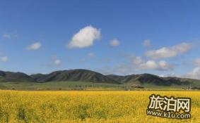 2018兴化千岛油菜花节时间+门票+交通