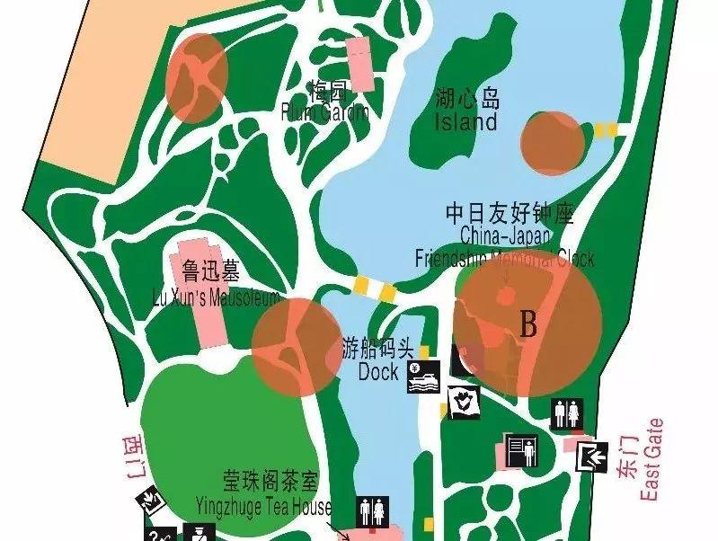 2018年上海鲁迅公园樱花展活动(时间+交通+地址)
