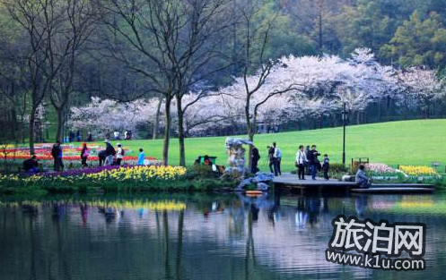 2018杭州太子湾三月份可以看哪些花+花期+最佳路线 2018杭州太子湾三月份可以看哪些花+花期+最佳路线