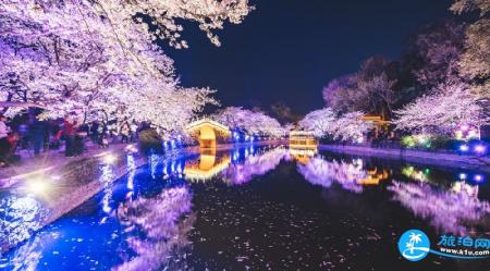 2018无锡鼋头渚夜樱门票多少钱 无锡鼋头渚景区有什么好吃的