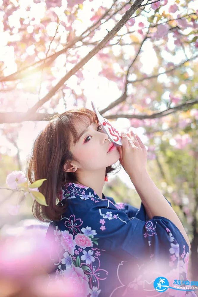 去日本看樱花拍照穿什么衣服 日本樱花季拍照攻略
