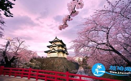 去日本看樱花拍照穿什么衣服 日本樱花季拍照攻略