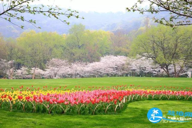 杭州春天赏花地点有哪些 2018杭州赏花攻略
