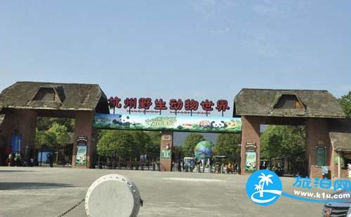 游杭州野生动物园作文800字