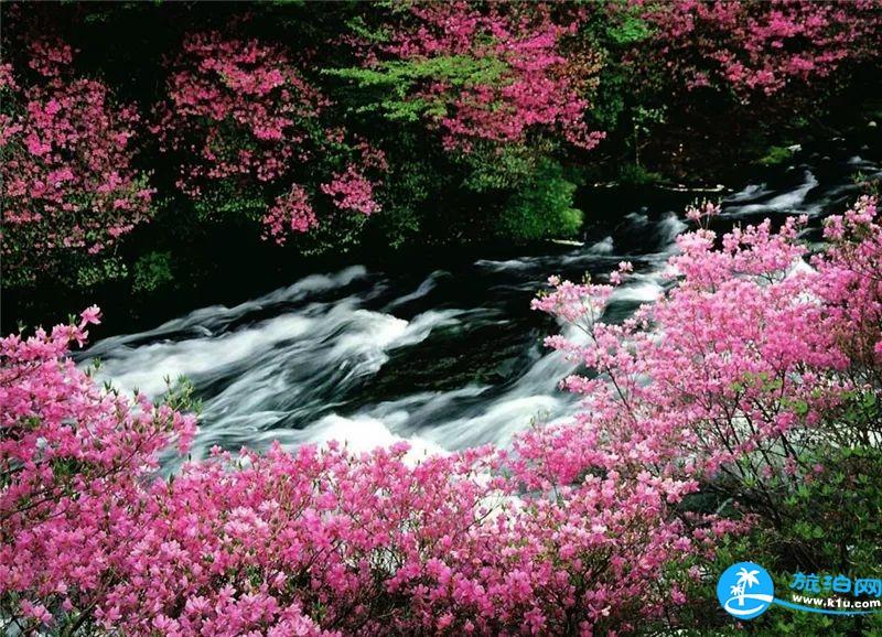 2018湖北賞花地圖  湖北賞花的地方有哪些