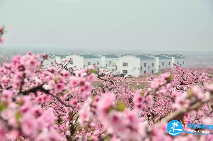 2018湖北賞花地圖  湖北賞花的地方有哪些