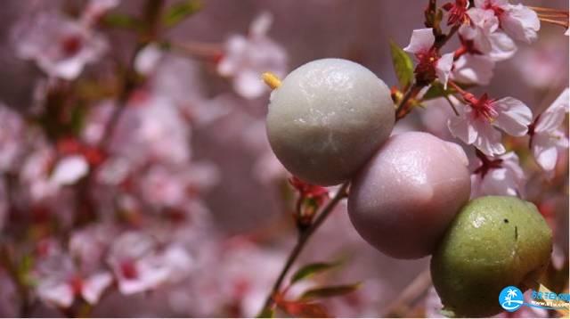 去日本赏樱应该吃什么 日本赏樱美食推荐