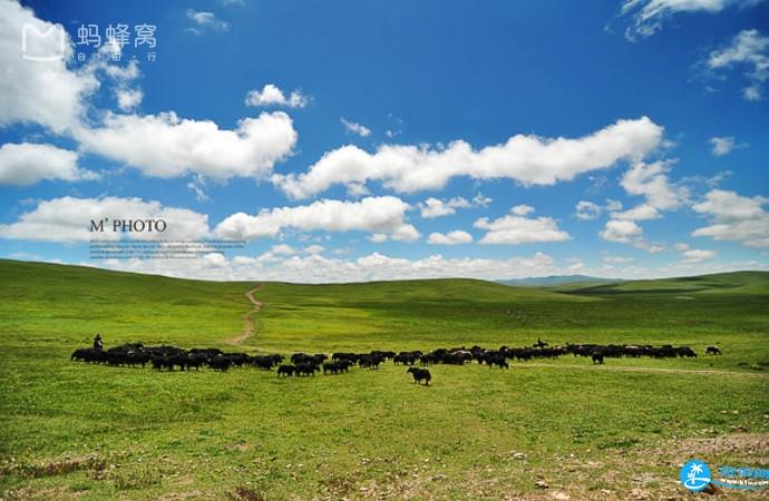 中国有哪些草原 内蒙古有哪些草原