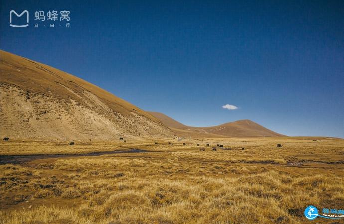 中国有哪些草原 内蒙古有哪些草原