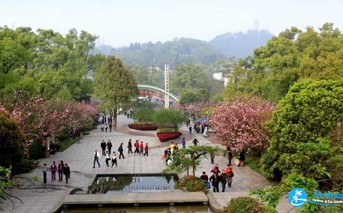 2018重庆南山植物园门票价格+优惠政策+官网
