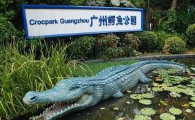 广州鳄鱼公园怎么去 广州鳄鱼公园交通攻略2018