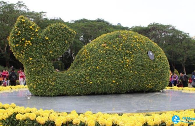 深圳看花的地方和公園有哪些推薦