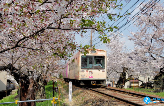 日本旅游幾月份最便宜 什么時候去日本合適